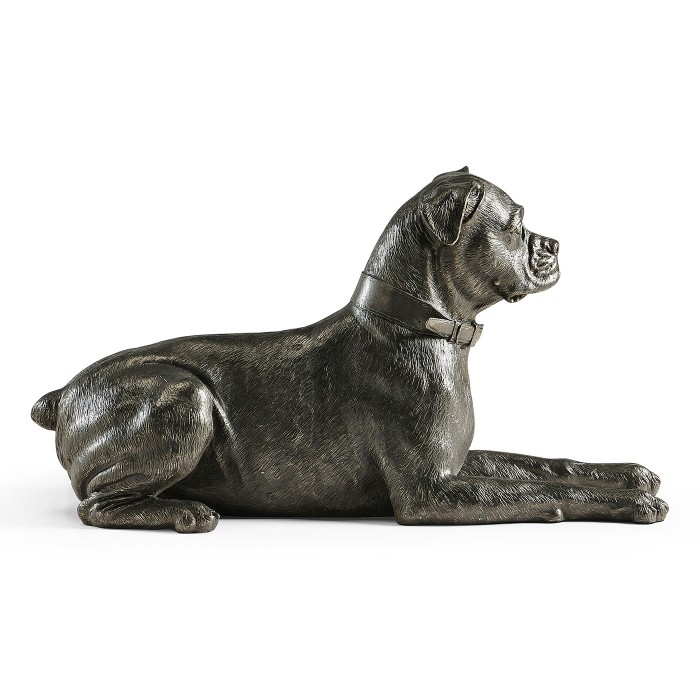 Bella boxer lying - large