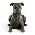 Bella boxer lying - large