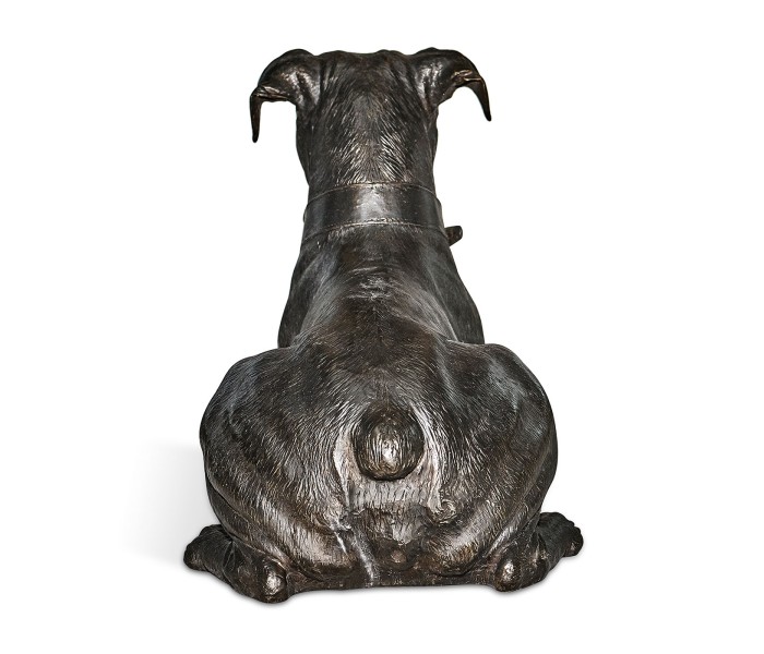 Bella boxer lying - large