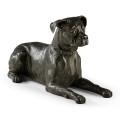 Bella boxer lying - large