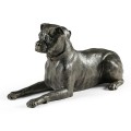 Bella boxer lying - large