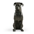 Bella boxer sitting - large