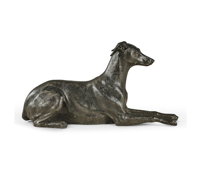 Whippet standing no collars