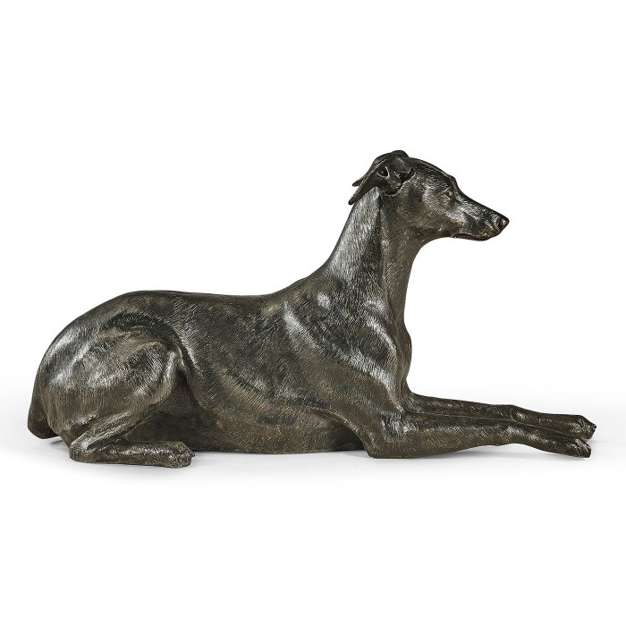 Whippet standing no collars
