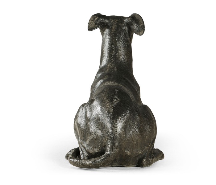 Whippet standing no collars