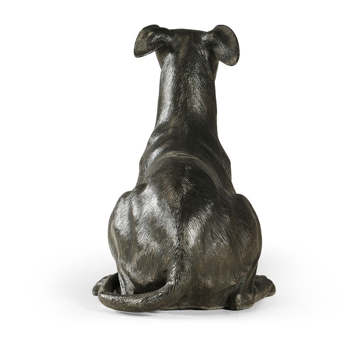 Whippet standing no collars