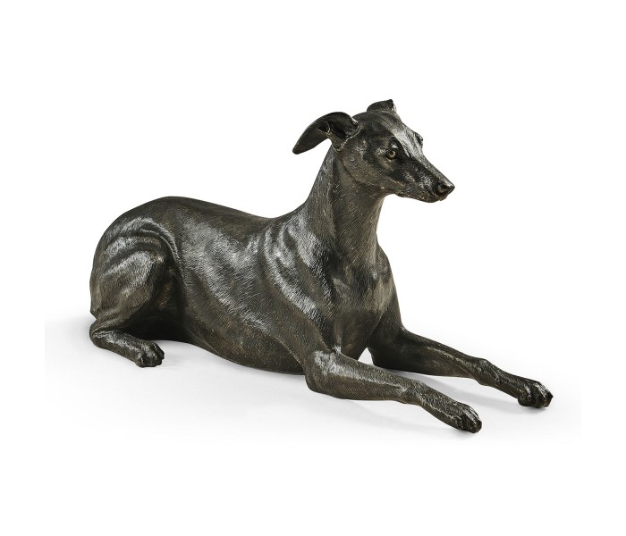 Whippet standing no collars