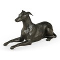 Whippet standing no collars
