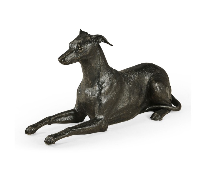 Whippet standing no collars