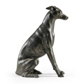 Whippet sitting no collars