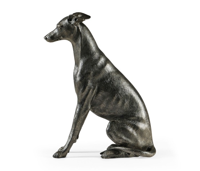 Whippet sitting no collars