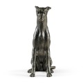 Whippet sitting no collars