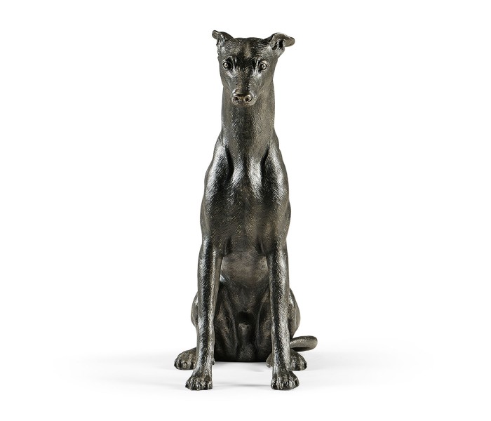 Whippet sitting no collars