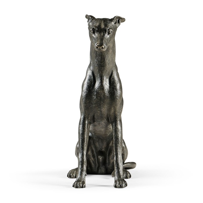 Whippet sitting no collars