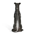 Whippet sitting no collars