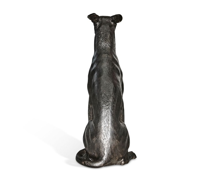 Whippet sitting no collars
