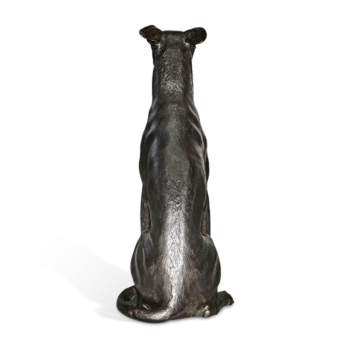 Whippet sitting no collars