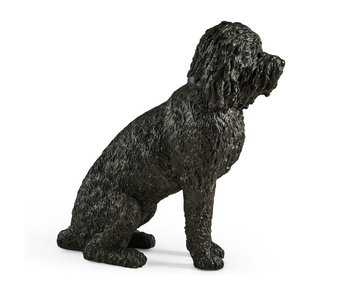 Harry labradoodle