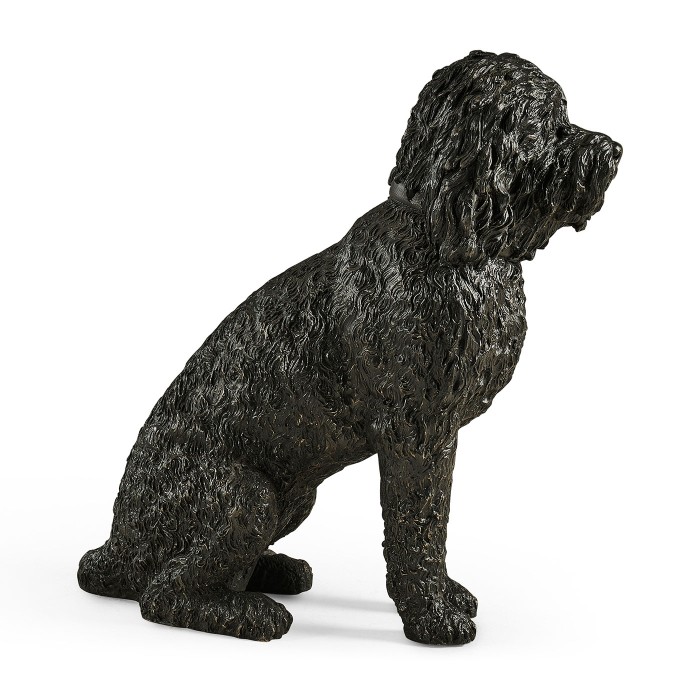 Harry labradoodle