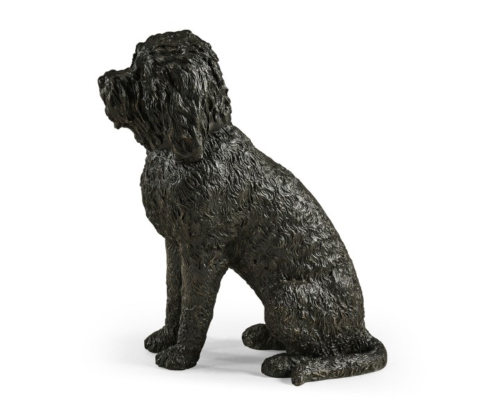 Harry labradoodle