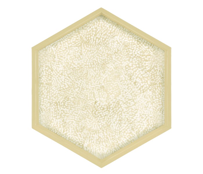 Hexagonal Eggshell Tray