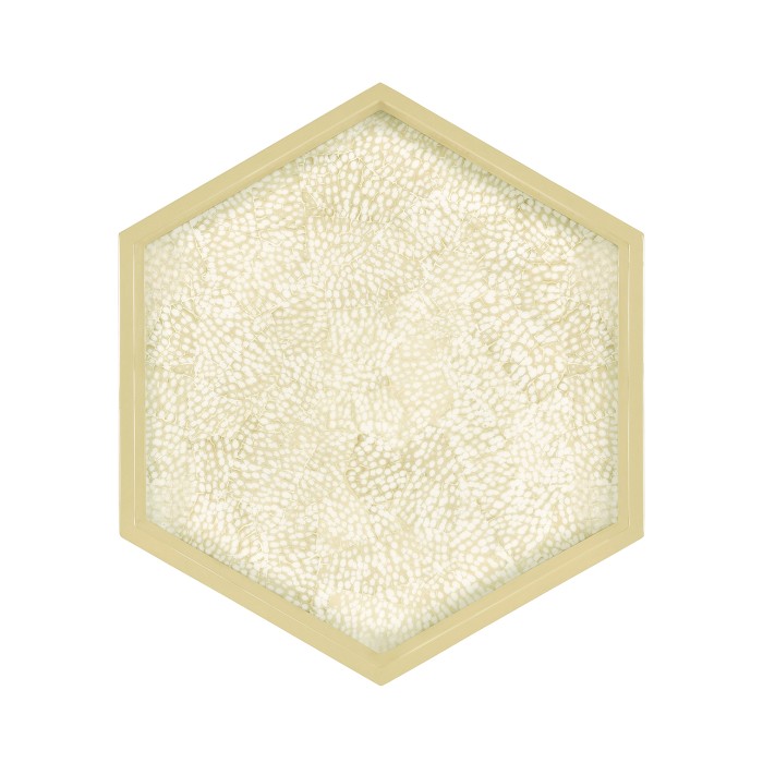 Hexagonal Eggshell Tray