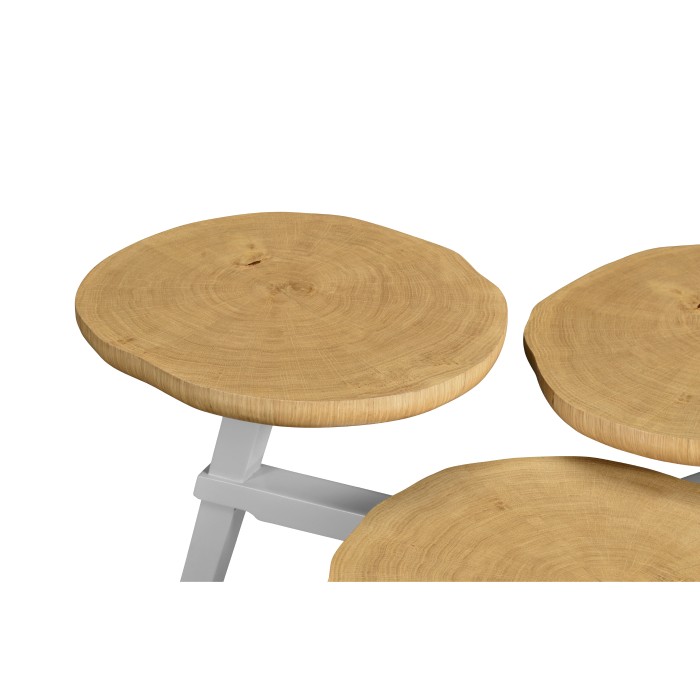 Architectural Coffee Table with Three Multi-Layered Circular Oysters