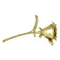 Polished Brass Blooming Rose