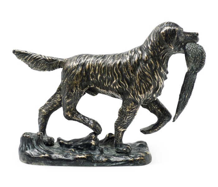 Dark Bronze Golden Retriever Dog