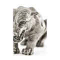 Antique White Brass Panther