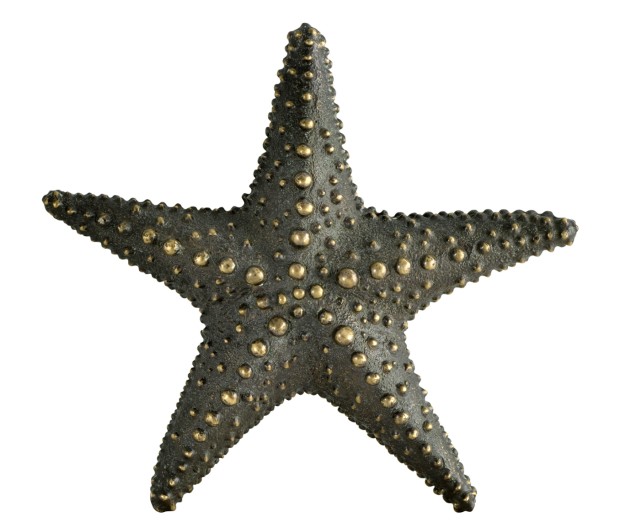 Dark Bronze Starfish