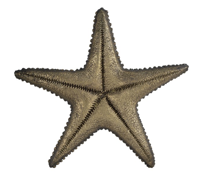 Dark Bronze Starfish