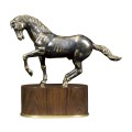 Antique Dark Bronze Horse