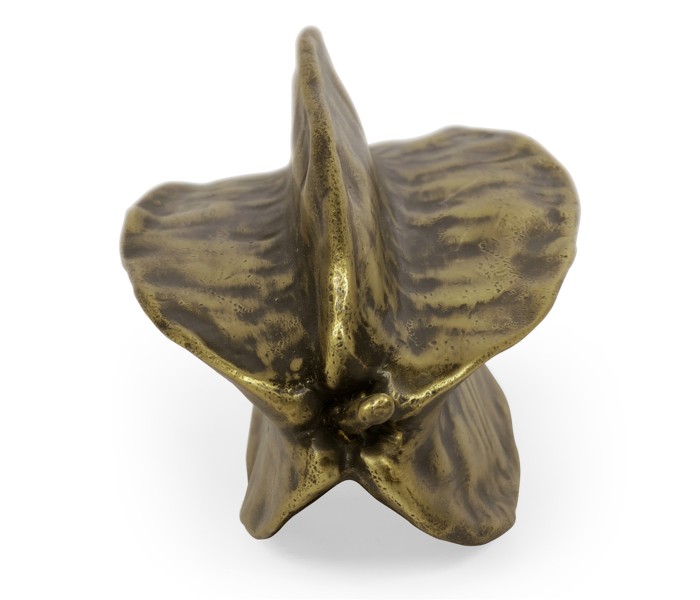 Antique Brass Star Fruit