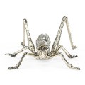 White Brass Grasshopper
