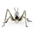 White Brass Grasshopper