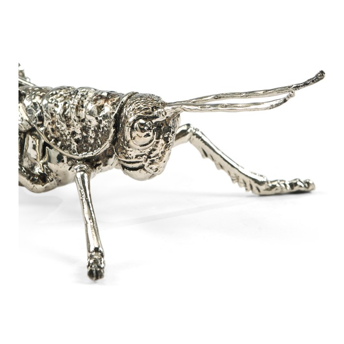 White Brass Grasshopper