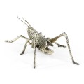 White Brass Grasshopper