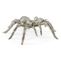 White Brass Turantula