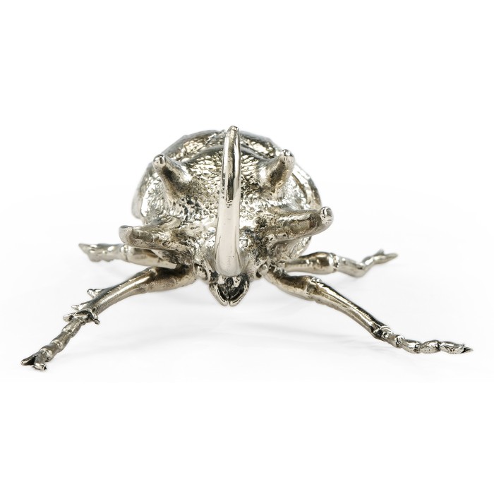 White Brass Five-Horned Rhinoceros Beetle