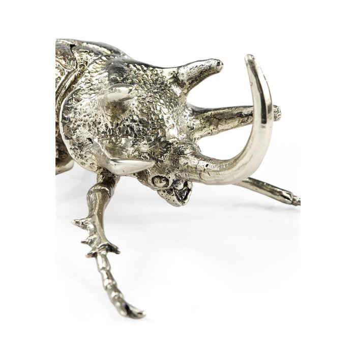 White Brass Five-Horned Rhinoceros Beetle