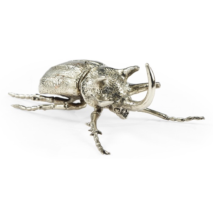 White Brass Five-Horned Rhinoceros Beetle
