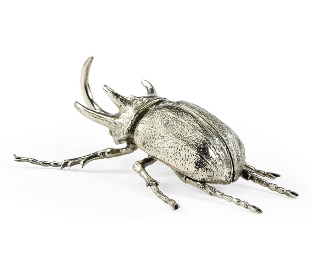 White Brass Five-Horned Rhinoceros Beetle