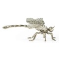 White Brass Dragonfly