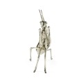 White Brass Praying Mantis