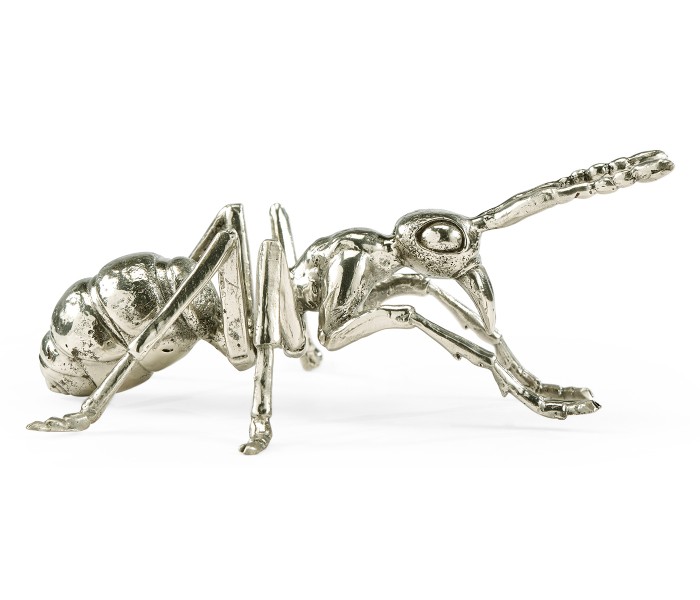 White Brass Ant