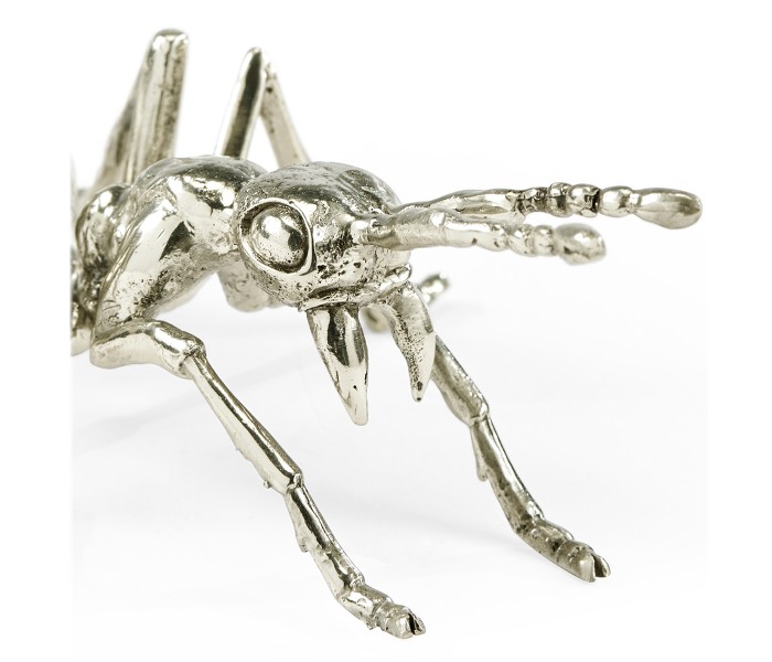 White Brass Ant