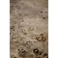 Hamilton Burl Side Table