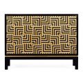 Black Storage Cabinet with Patterned Front