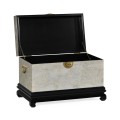 Silver Eggshell Trunk